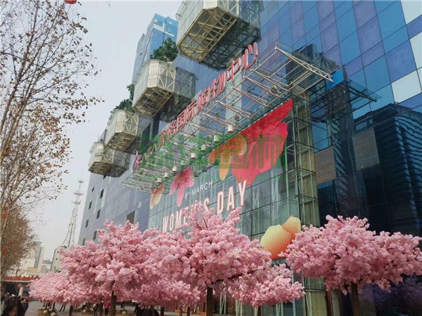 賽格女神節(jié)櫻花季